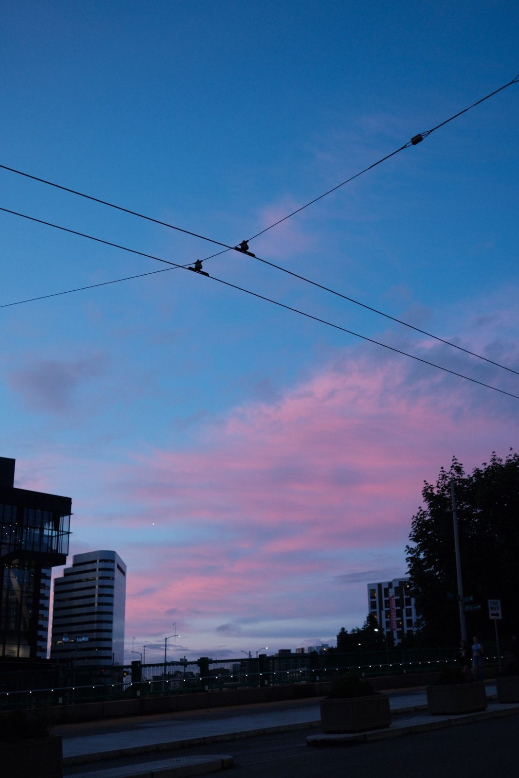 Cotton-candy dusk sky over the city, crossed by tram wires