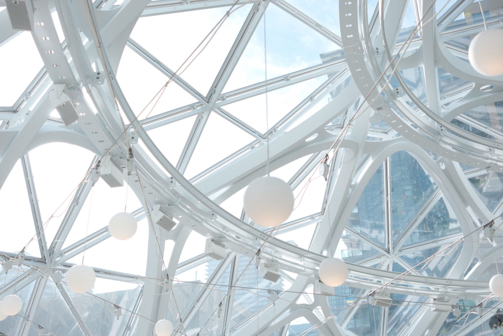 Looking up through the glass lattice of the Amazon Spheres