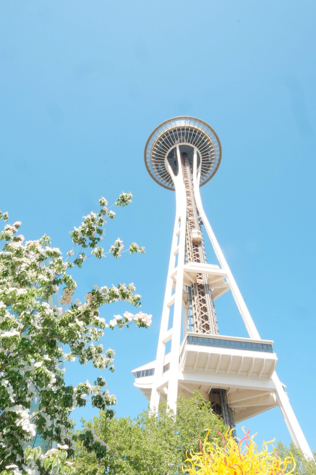 The Space Needle against blue sky, framed by blossoms and glass