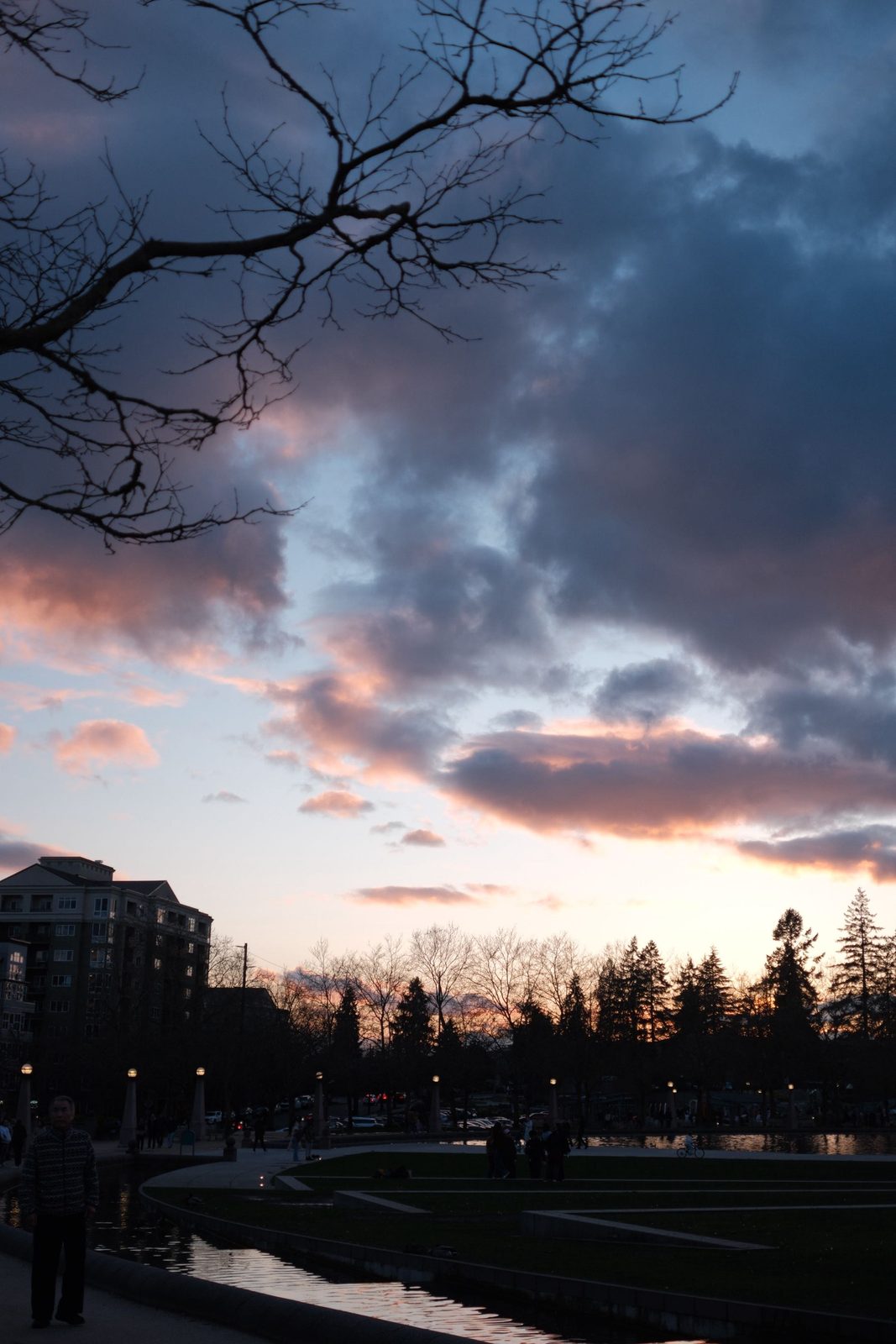 Dramatic dusk sky over a park, bare branches silhouetted above