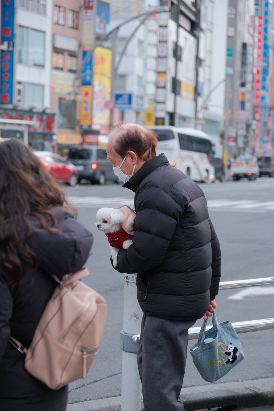 A man cradling a tiny white dog at a busy Tokyo crosswalk