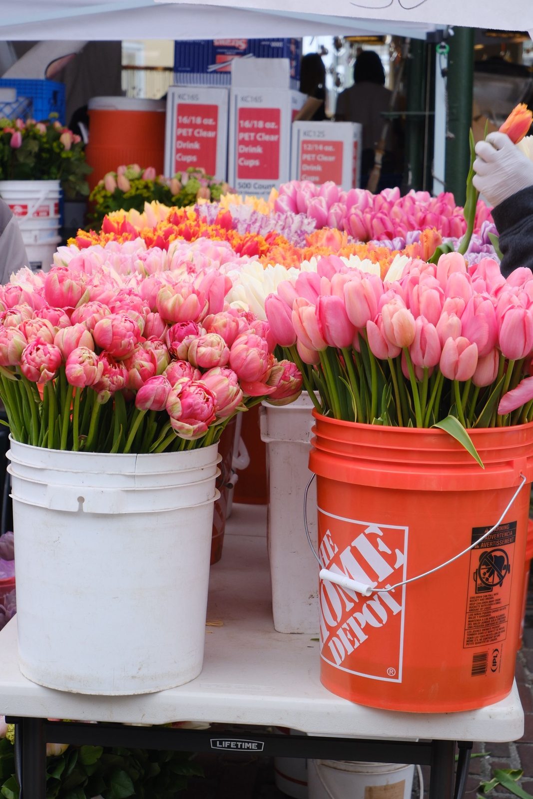 Buckets of pink tulips at a flower market stall