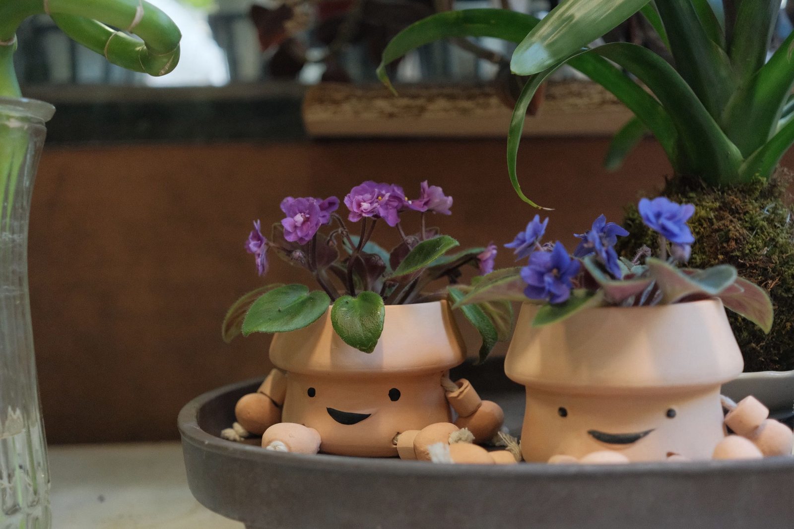 Smiling terracotta planter figures holding African violets