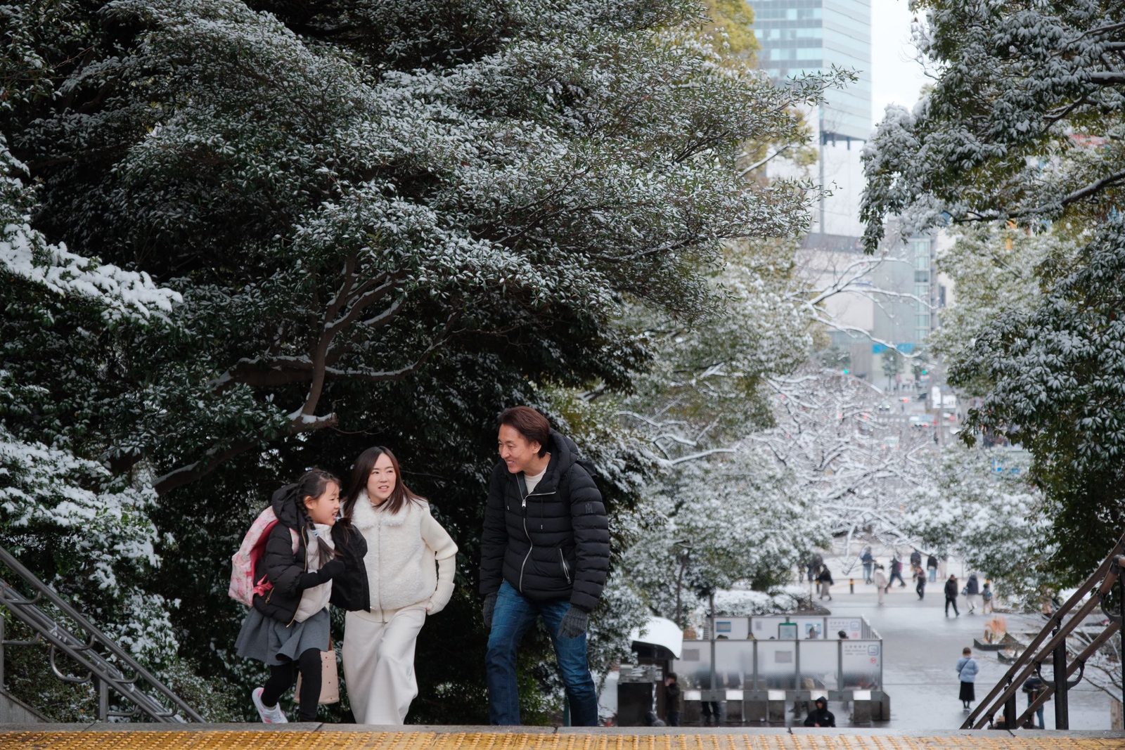 A family walking up snow-dusted park steps beneath frosted trees