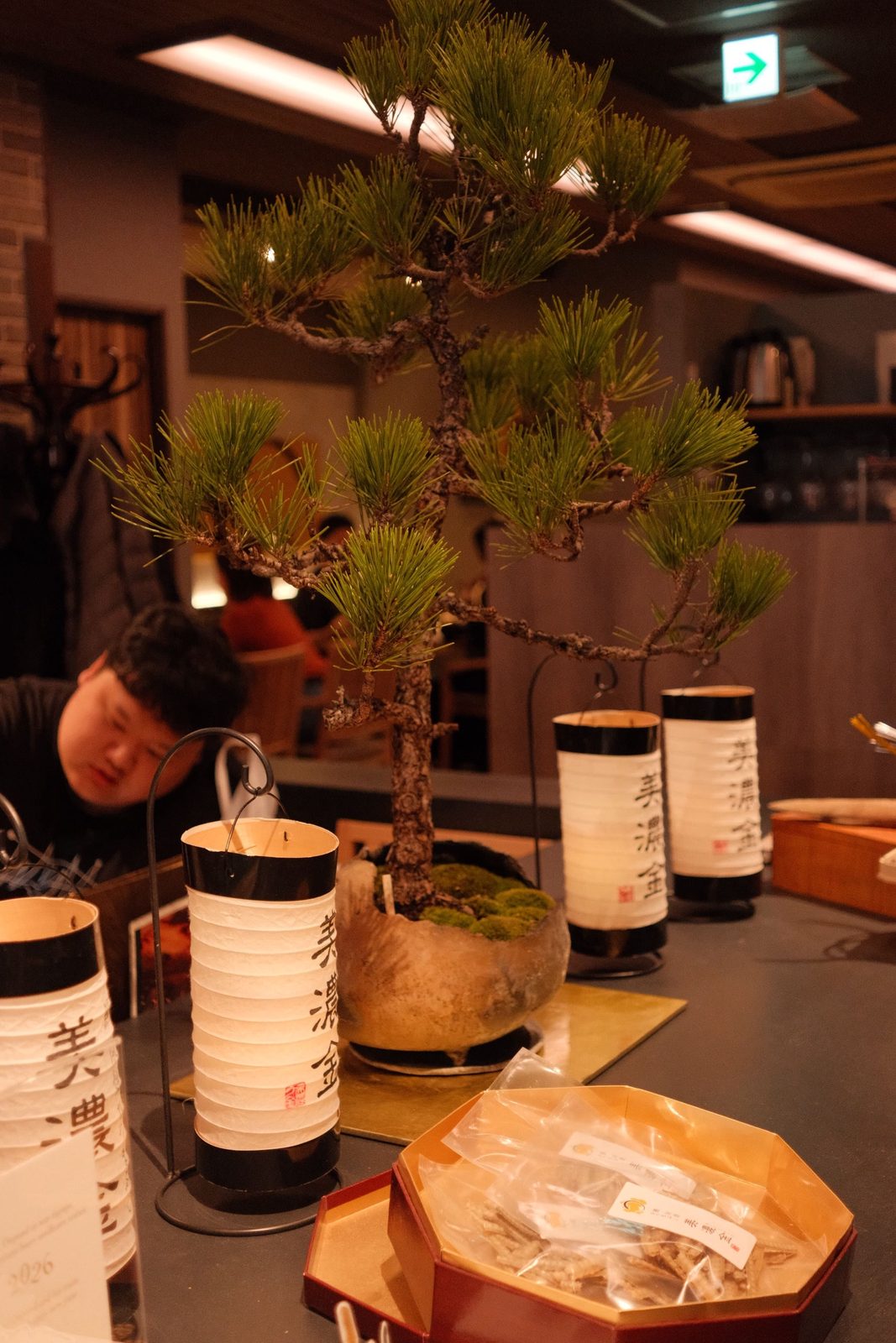 A pine bonsai and paper lanterns on a restaurant counter