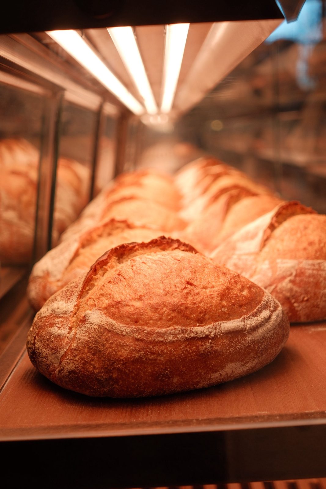 Crusty artisan loaves glowing under the lights of a bakery case