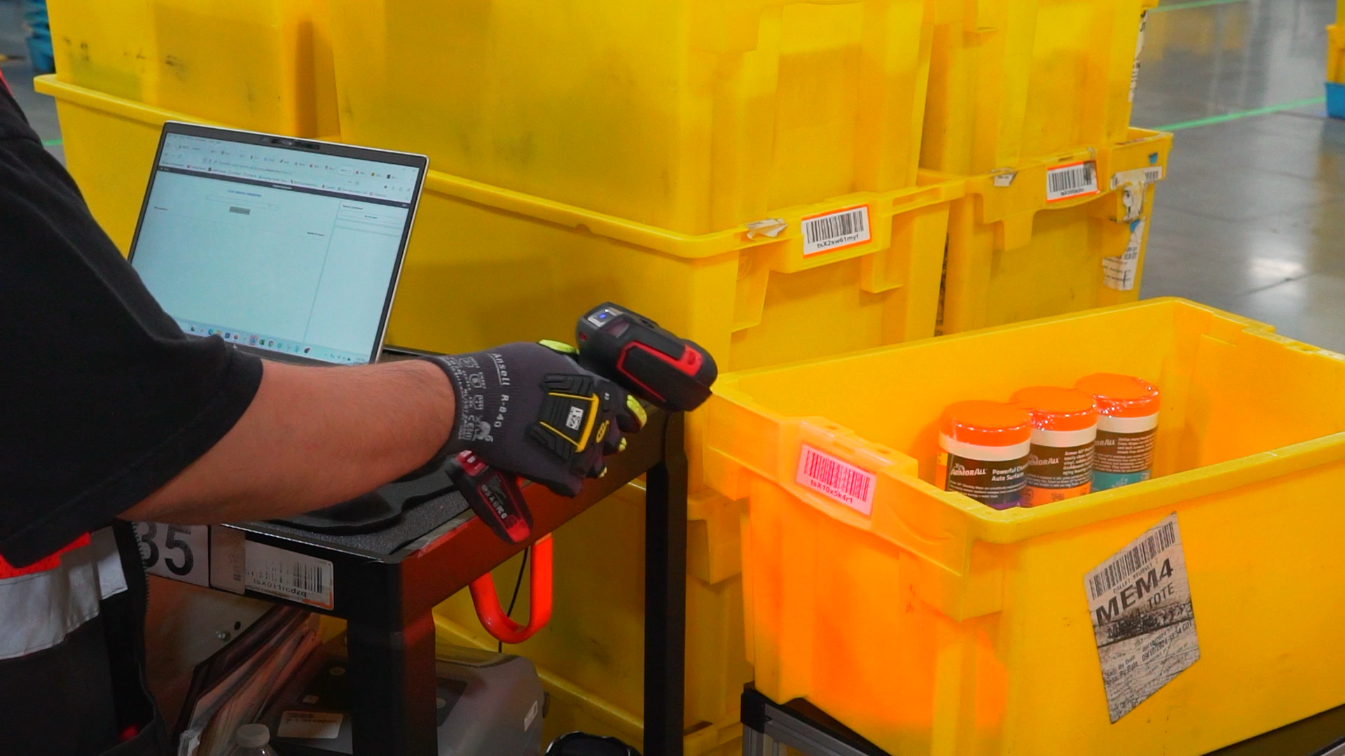 Field research photo of associate at scanning station